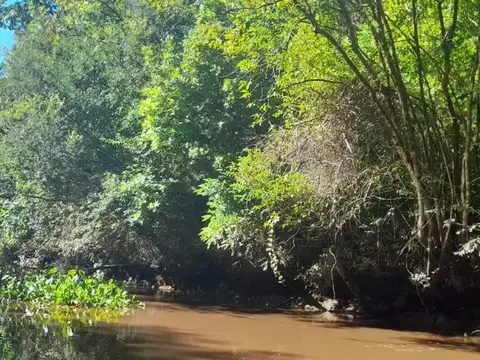 Excelente fracción de 46 ha, sobre Arroyo Las Piedras