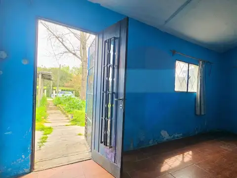 Arbolito 200