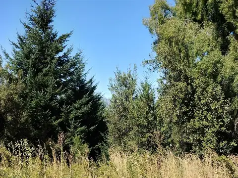 Terreno en Venta en San Martin de los Andes, Lácar