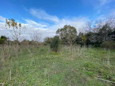 Terreno en Venta en Berisso, USD 18.000