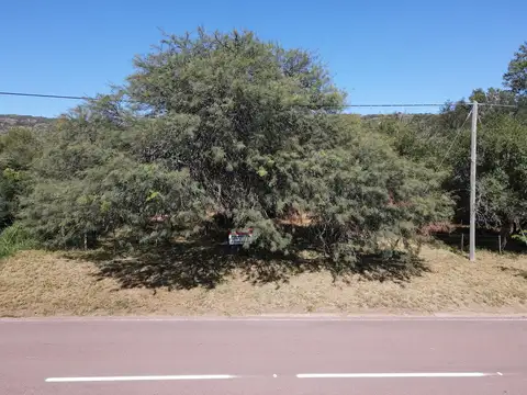 Rp 21