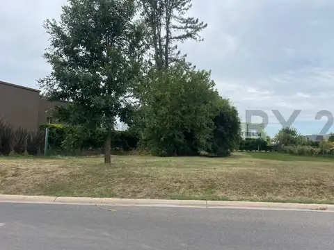 Old Man 740 , Piso 0