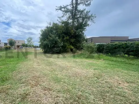 Terreno en Venta 40  mts Fondo