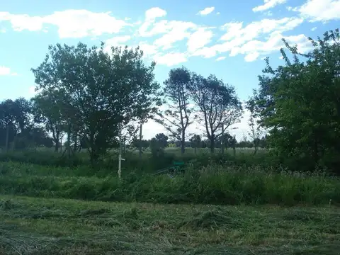 Terreno en Venta en Carlos Keen, USD 26.000