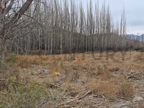 TERRENO EN VENTA LAS VEGAS, POTRERILLOS, MENDOZA