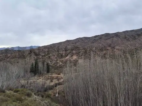 TERRENO EN VENTA LAS VEGAS, POTRERILLOS, MENDOZA