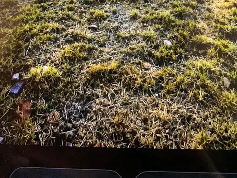Terreno en Venta 12  mts Frente