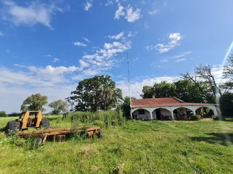 CAMINO ALPINO