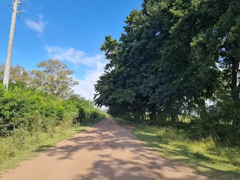 Terreno en Venta de 110000,0 m2