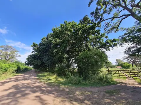 CAMINO ALPINO