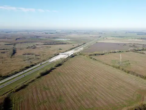 Campo en Venta de 140  ha