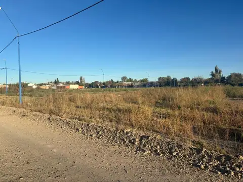LOTE BARRIO LOS OLMOS 271 M2