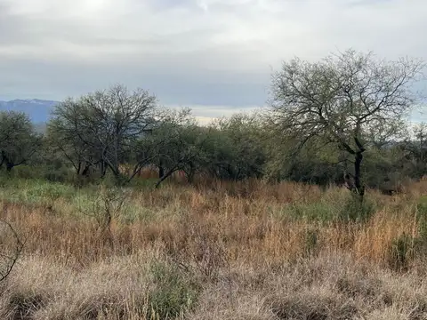 SE VENDE 1 HECTAREA DE CAMPO