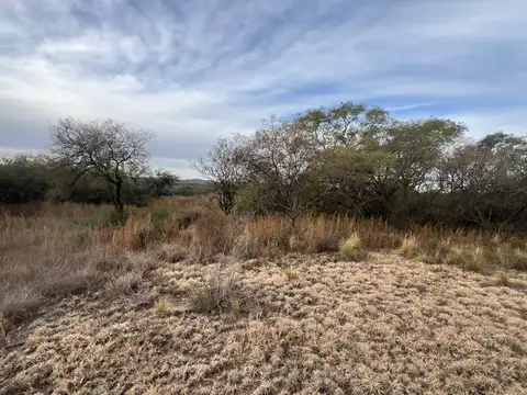 SE VENDE 1 HECTAREA DE CAMPO