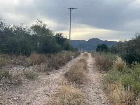 SE VENDE 1 HECTAREA DE CAMPO