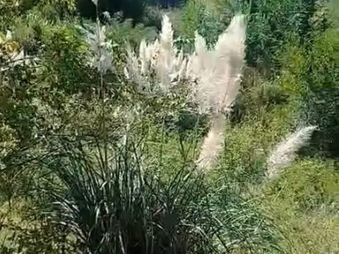 Terreno en Venta de 800,0 m2