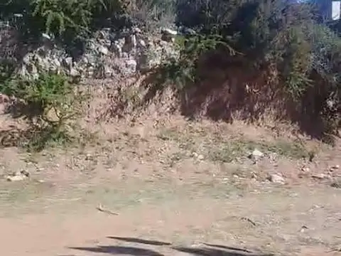 Terreno en Venta de 800,0 m2