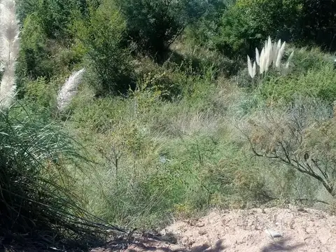 Terreno en Venta en Potrero de los Funes, USD 35.000