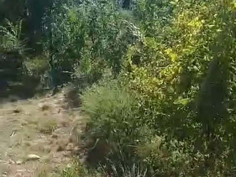 Terreno en Venta en Potrero de los Funes, USD 35.000