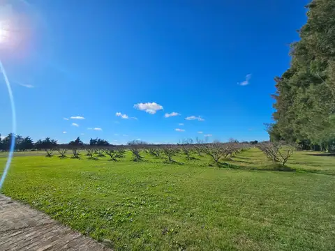 Chacra en venta en  Mercedes. Zona quintas