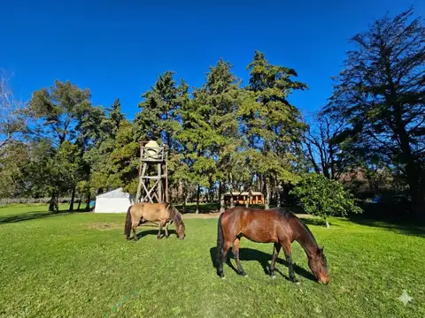 Chacra en venta en  Mercedes. Zona quintas