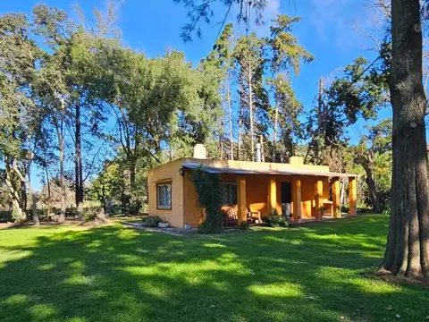 Mercedes, Provincia de Buenos Aires