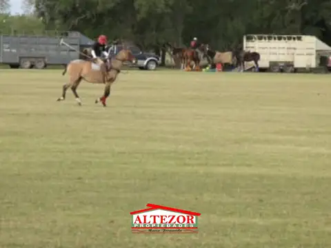 Terreno en Venta de 100000,0 m2