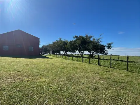 Campo en Venta en Pinamar, Partido de Pinamar