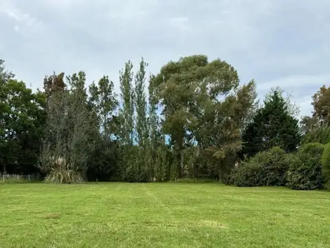 Terreno en Venta 10  mts Frente