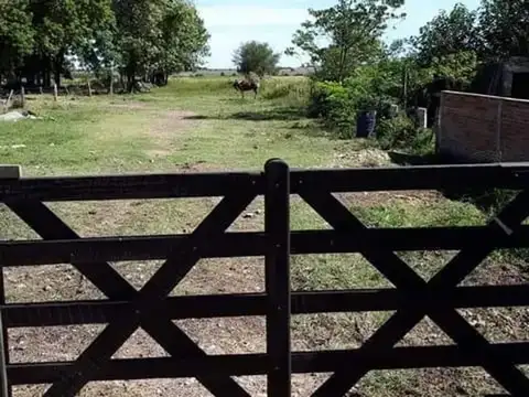 Terreno en Venta de 1650,0 m2