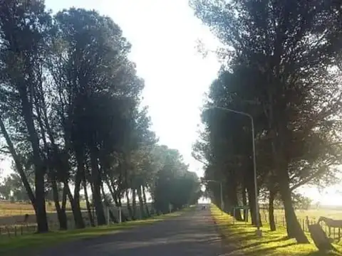 Terreno En Acceso A Hernández, Entre Rios M172v