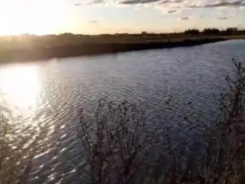 Terreno en Venta en Campos De La Enriqueta, USD 23.000