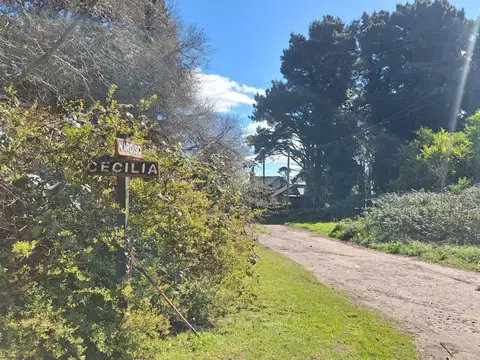Cecilia y narciso