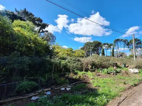 VENTA EN BLOCK DOS LOTES EN SIERRA DE LOS PADRES