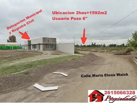 Maria Elena Walsh 300