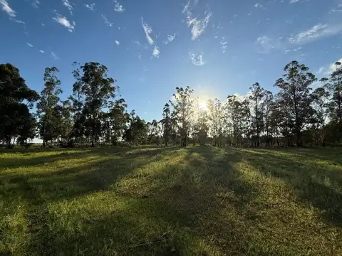 LOTE EN VENTA EN COLONIA CAROLINA