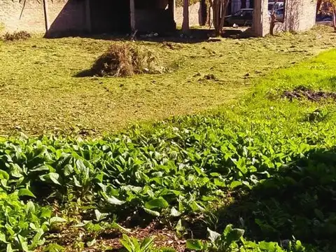 Vicente López Y Planes 3155