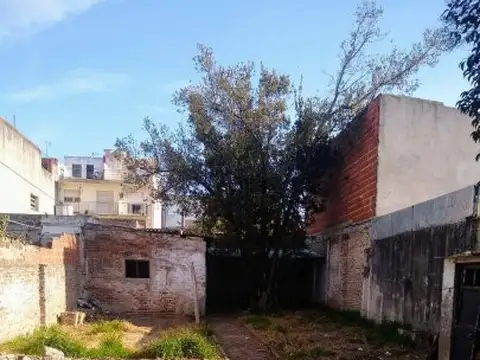 Timoteo Gordillo 5300