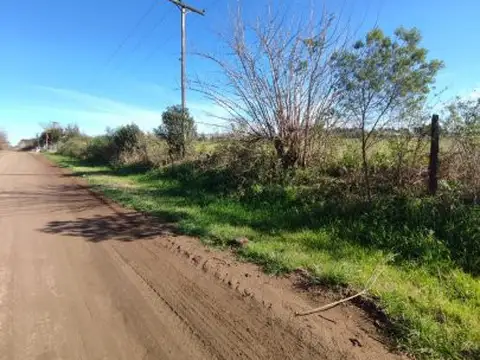 Alfredo Schilla 1215 , Piso 0