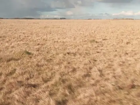 CAMPO EN VENTA - GUIDO, BUENOS AIRES 1.290 HA