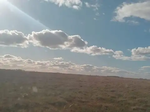 RUTA 2 100