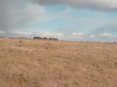 CAMPO EN VENTA - GUIDO, BUENOS AIRES 1.290 HA