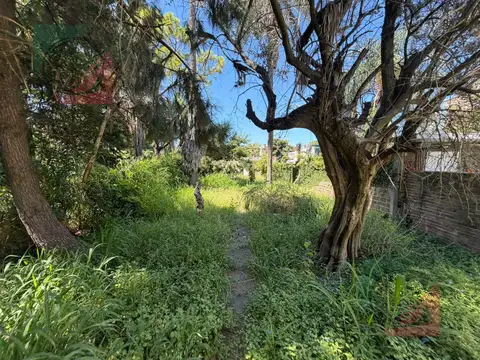 propiedad en Terreno de 8,66x69 mts