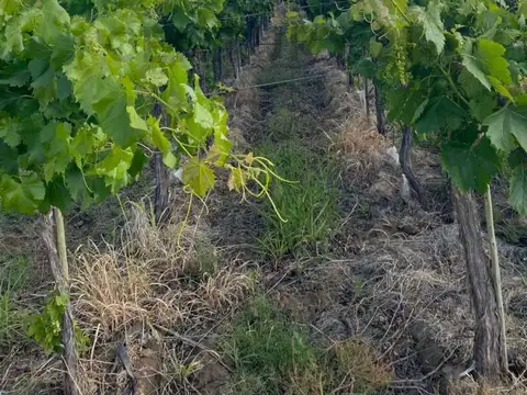 Casa en Venta en Costa de Araujo, USD 250.000