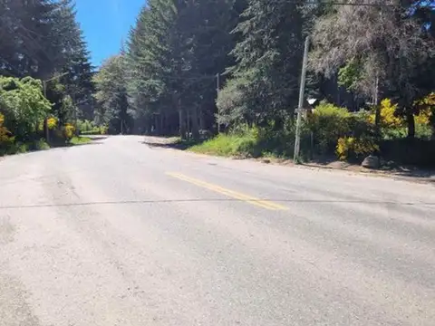 Avenida Exequiel Bustillo 21000