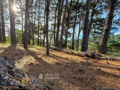 Terreno Multifamiliar 1025m2