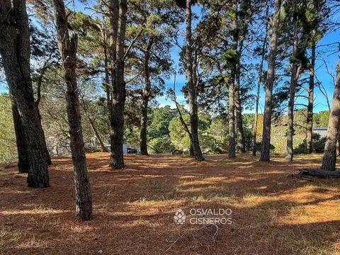 Terreno en Venta en Mar de las Pampas, USD 80.000