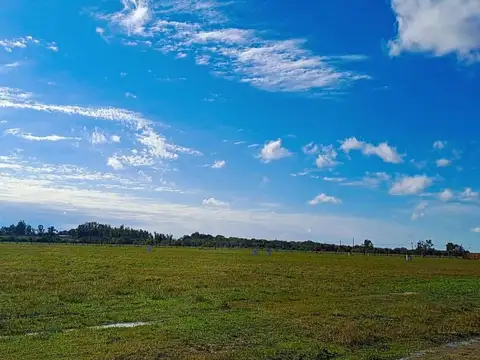 Terreno en Venta de 629,0 m2