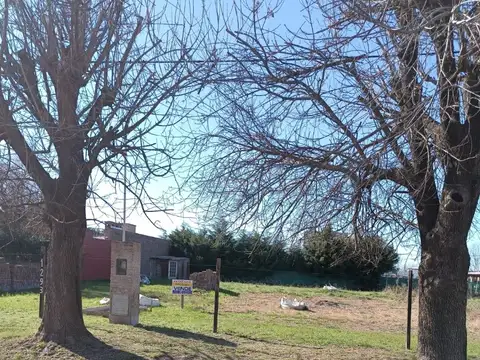 Scalabrini Ortiz 1200