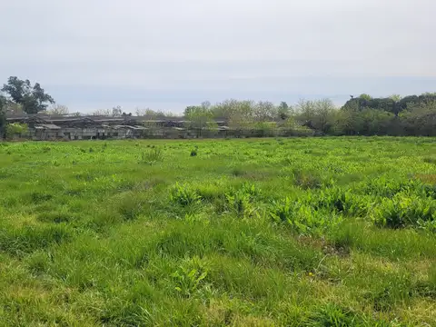 LOTE DE 20.000 M2 EN ALQUILER CON UBICACION EXCELENTE DETRAS DEL TOM